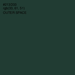 #213D33 - Outer Space Color Image